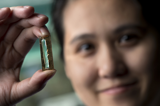 Super-charged Nanowire Batteries Are Coming, But How Soon?
