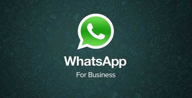 WhatsApp Is Testing a New Business Version of Its App