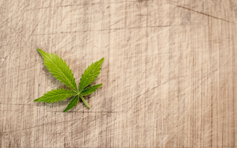 Canadian Recreational Cannabis Delayed – Cannabis Stocks Tank