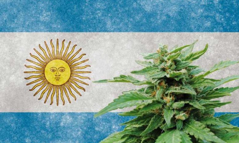 Aphria Enters Agreement to Sell Medical Cannabis in Argentina