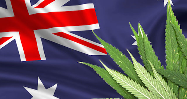 The Fight for the Australian Cannabis Market – Aurora and Canopy Growth Corp Could go Head to Head