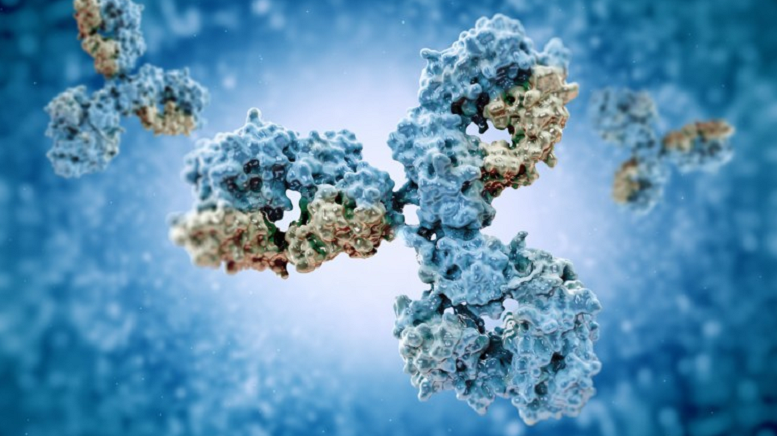 ImmunoPrecise Antibodies Receives Subcontract to Produce Rabbit Monoclonal Antibodies