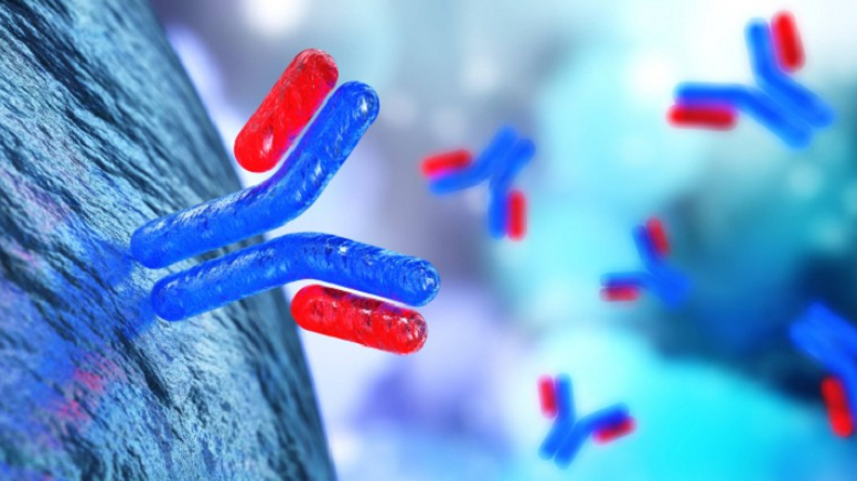 ImmunoPrecise Antibodies Announces DTC Eligibility