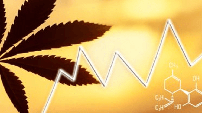 CannaOne Technologies Provides Annual Corporate Update