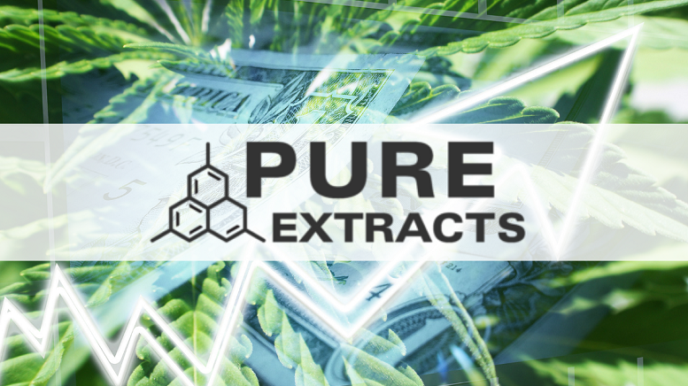 Pure Extracts and Shroombloom Sign Psychedelic Mushroom Supply Letter of Intent.